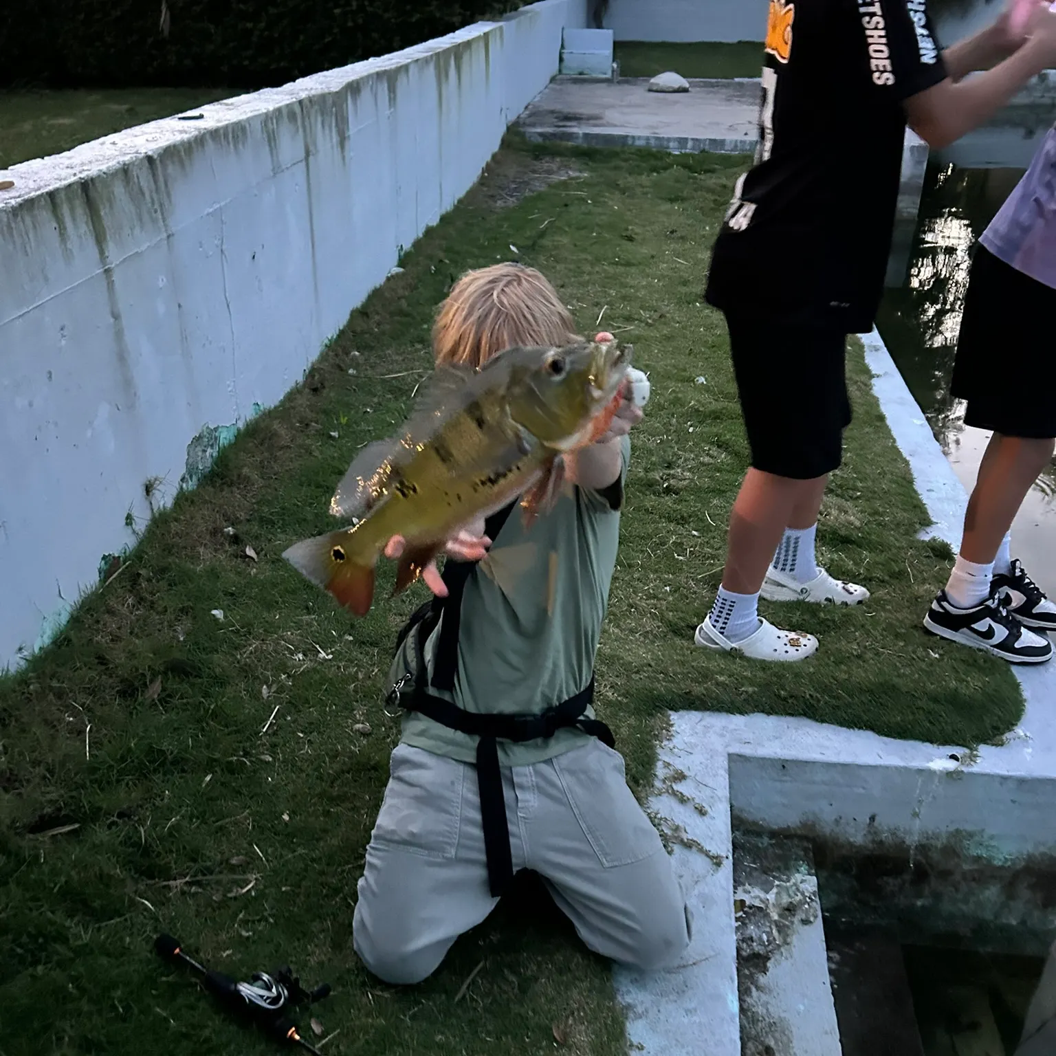 The most recent Butterfly peacock bass catches on Fishbrain