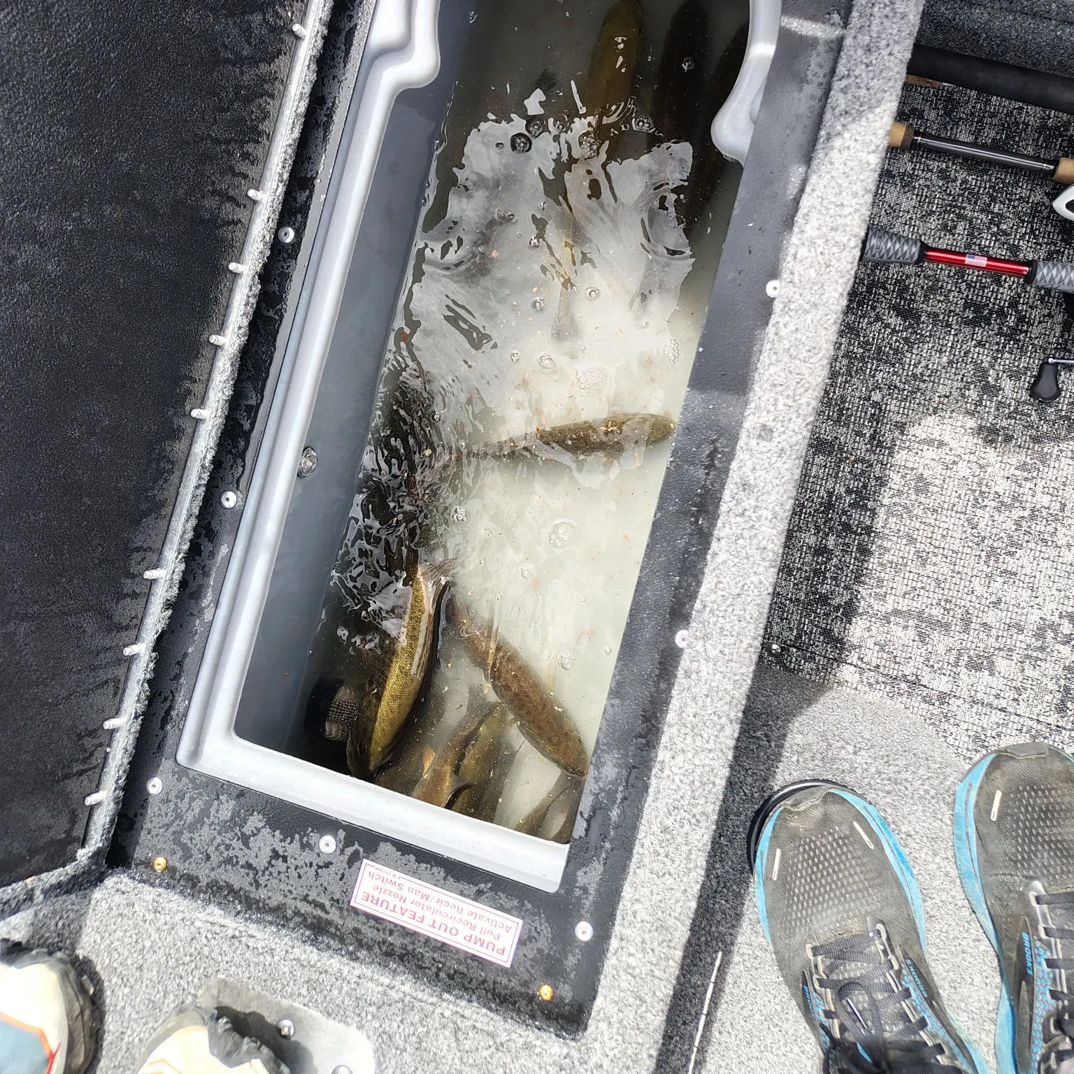 Smallmouth bass caught on Fishbrain