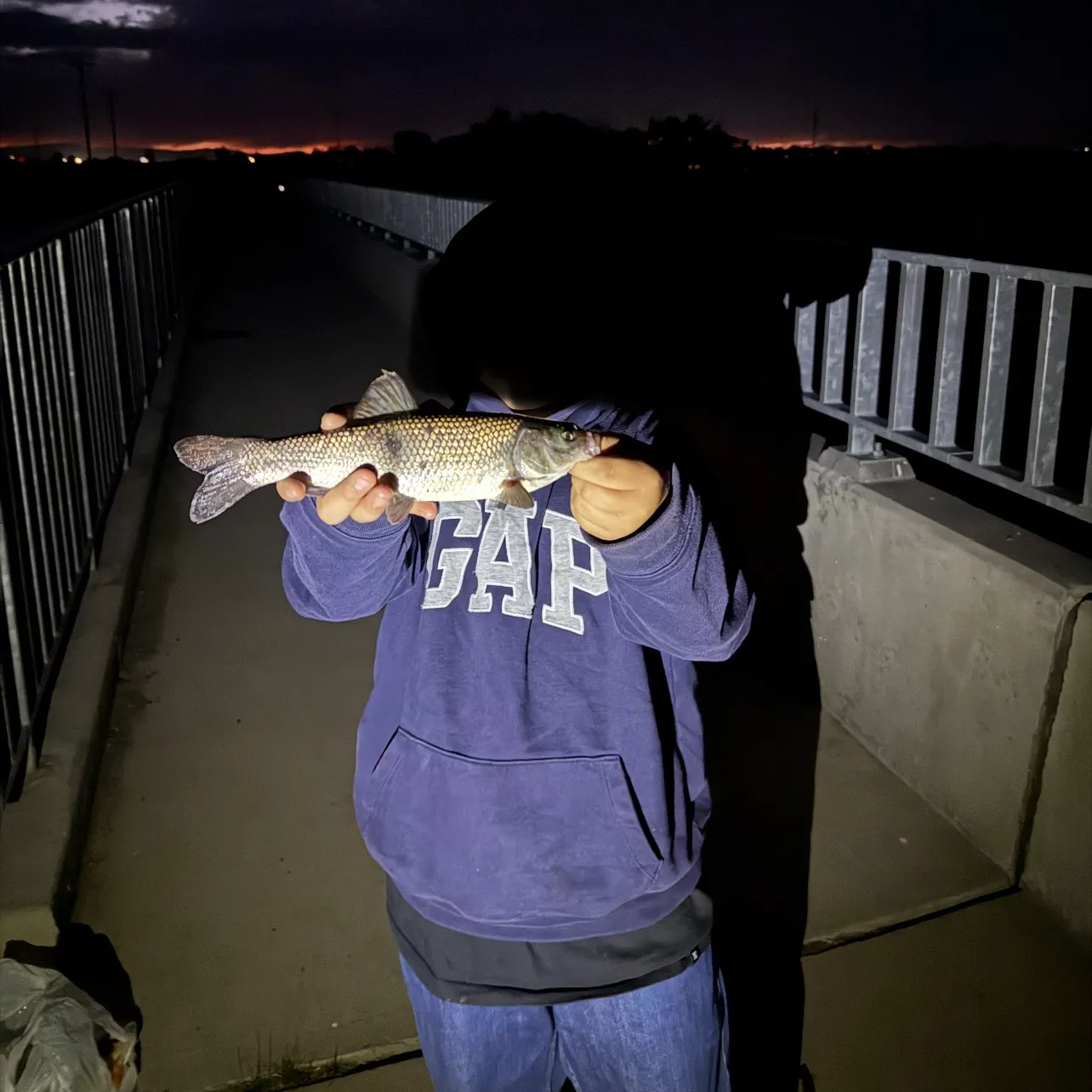 Tui chub caught on Fishbrain