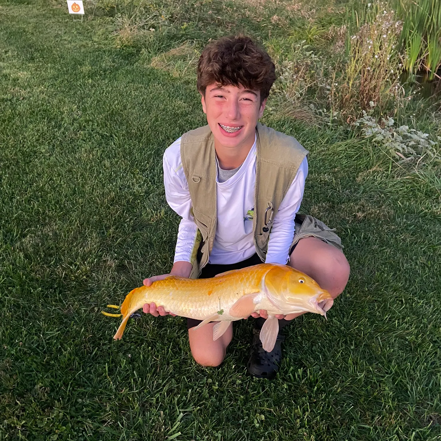 The most recent Koi carp catches on Fishbrain