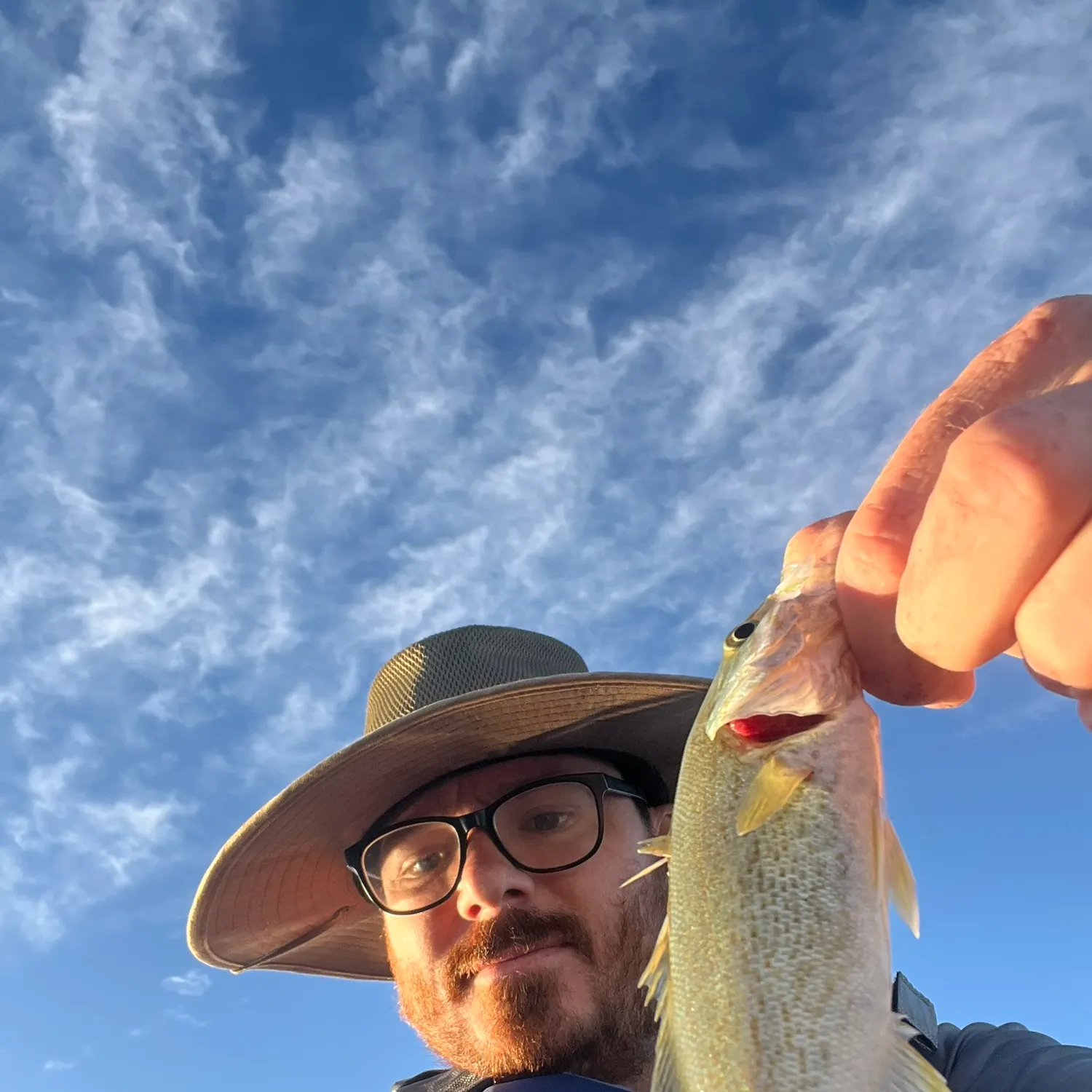 Smallmouth bass caught on Fishbrain