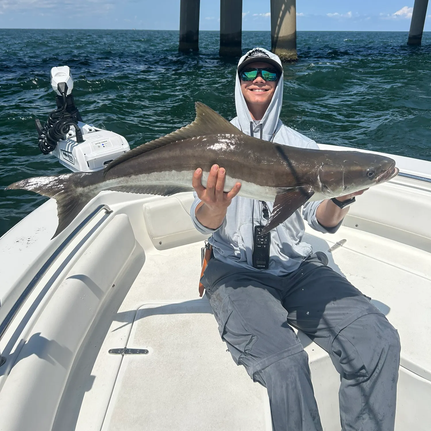 Cobia caught on Fishbrain