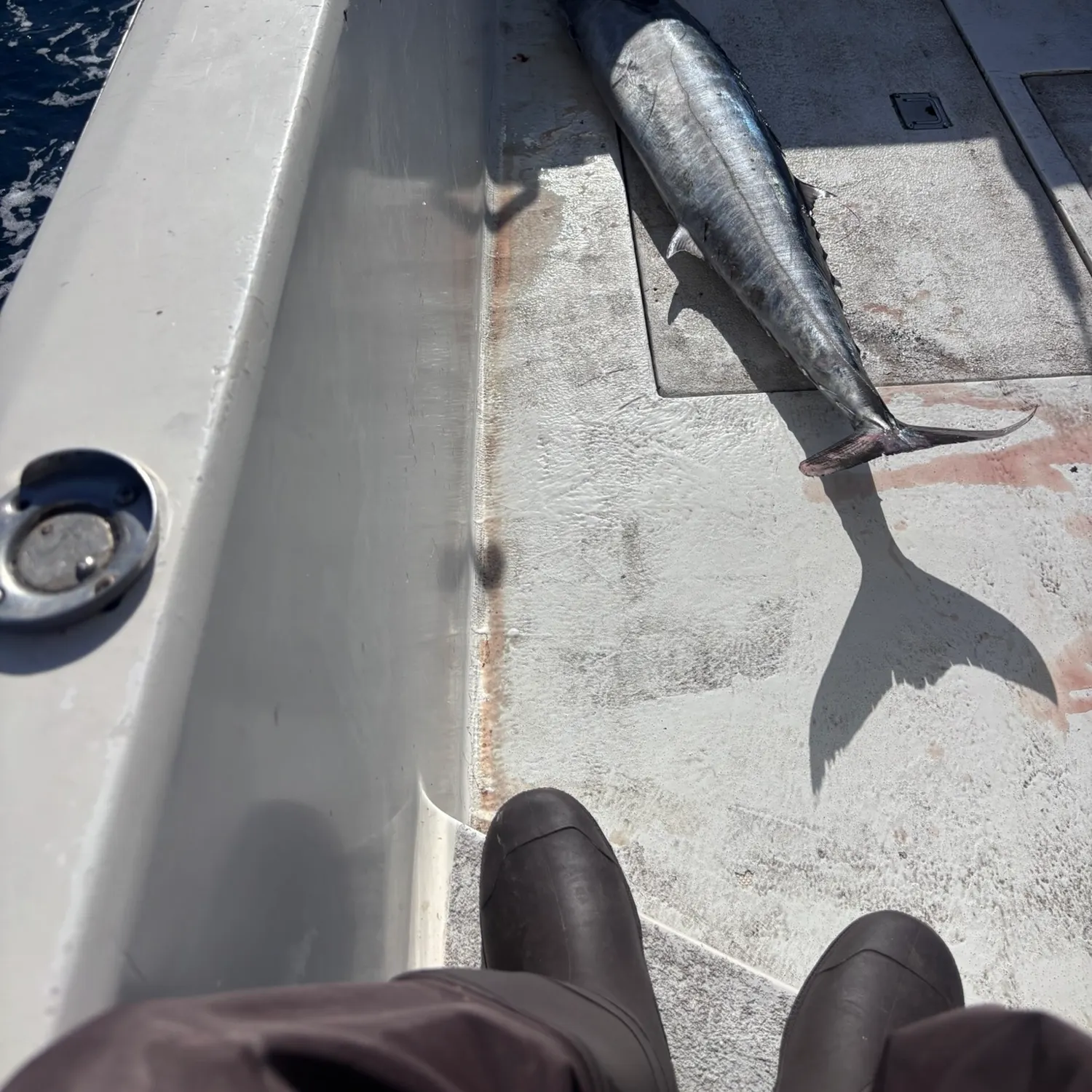 The most recent Wahoo catches on Fishbrain