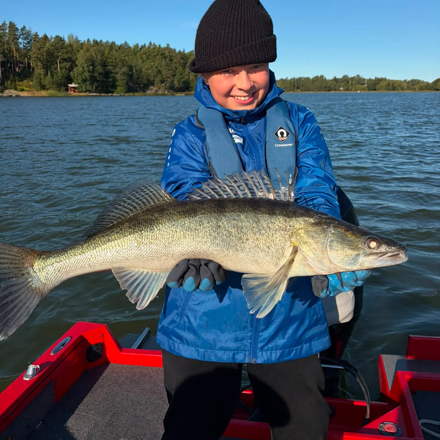 Zander caught on Fishbrain