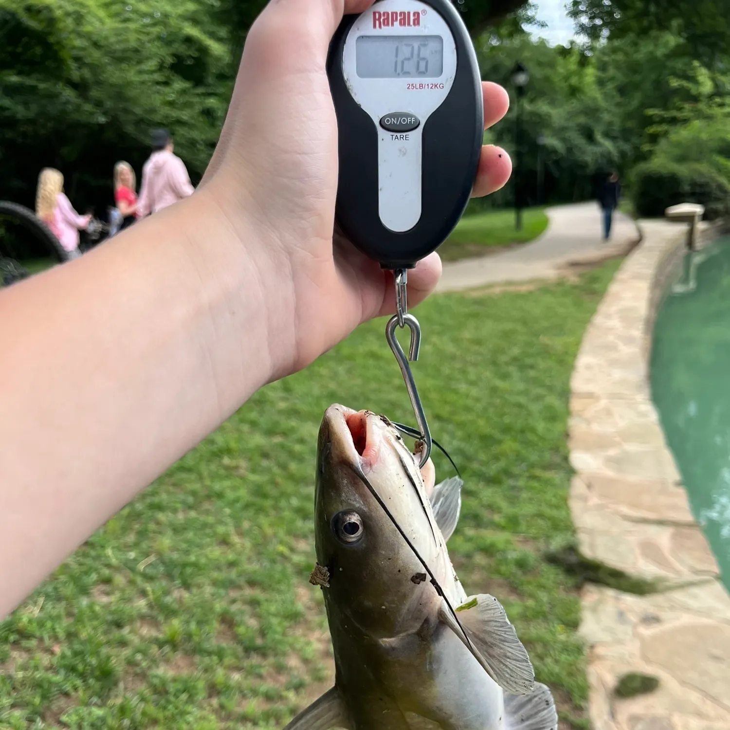 catch