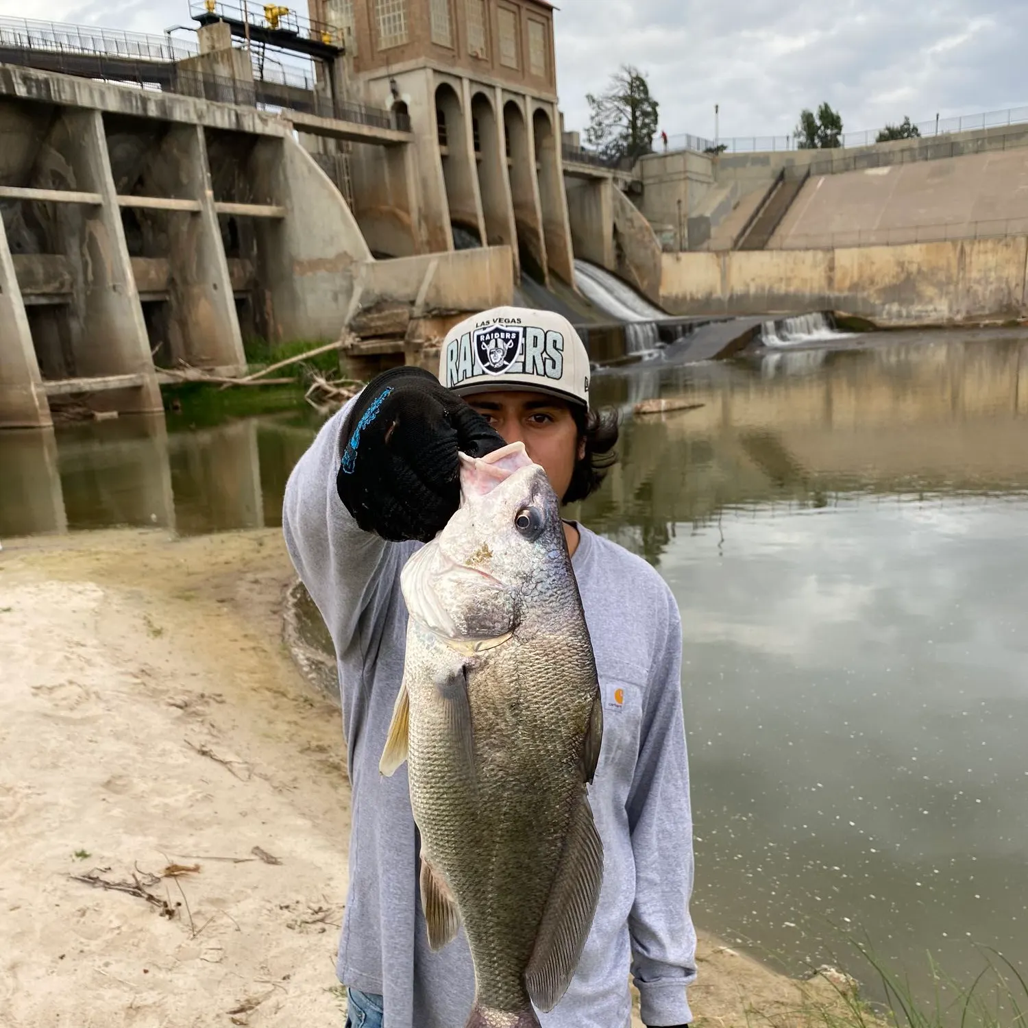 angler catch