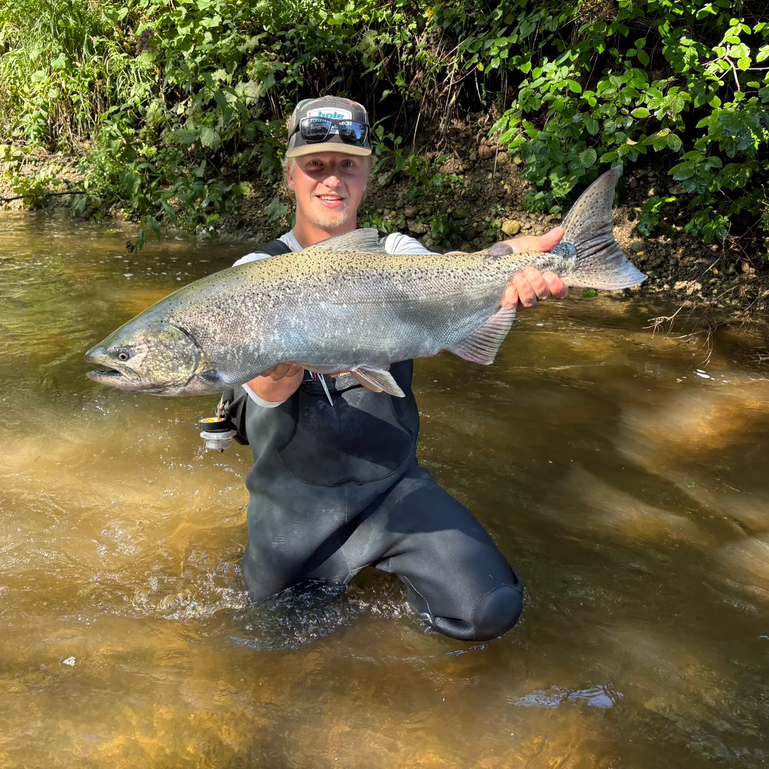 Chinook salmon caught on Fishbrain