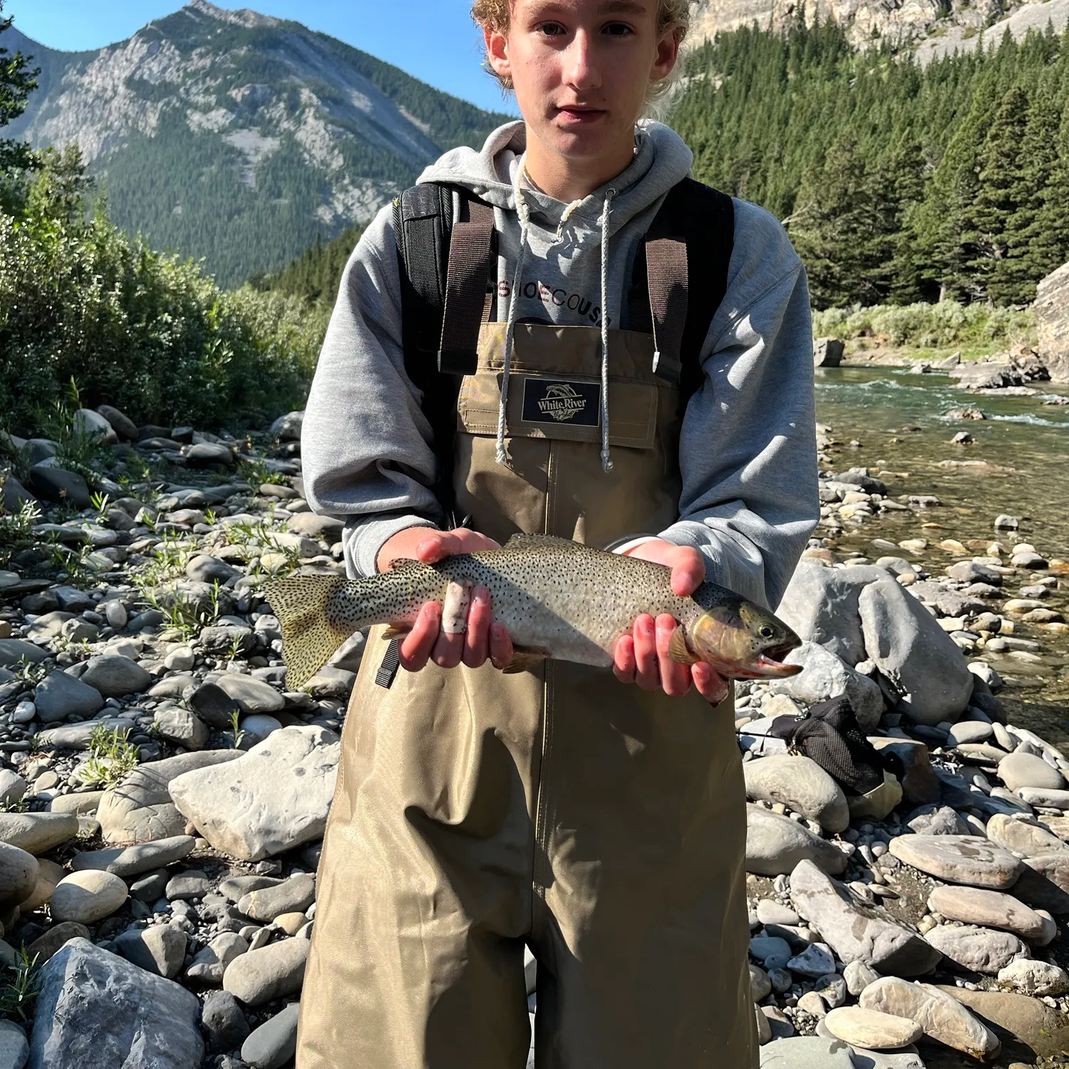 The most recent Westslope cutthroat trout catches on Fishbrain
