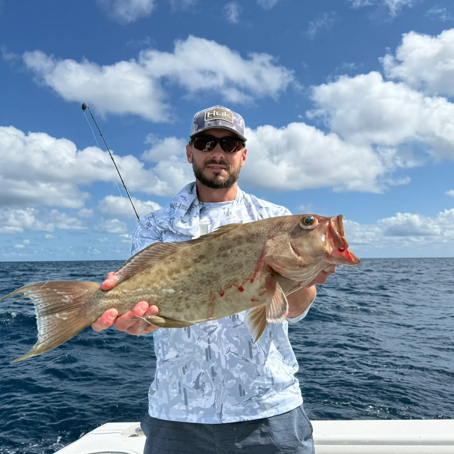 The most recent Scamp grouper catches on Fishbrain