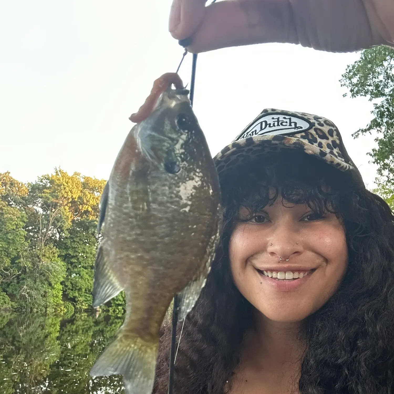Bluegill caught on Fishbrain