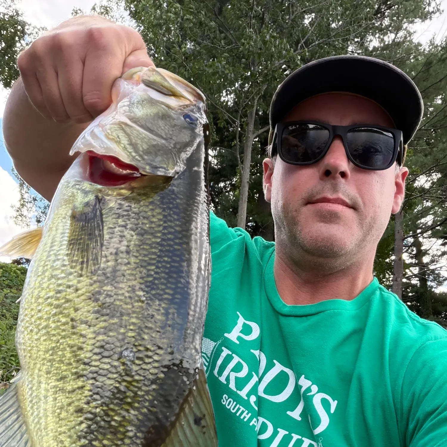 Largemouth bass caught on Fishbrain