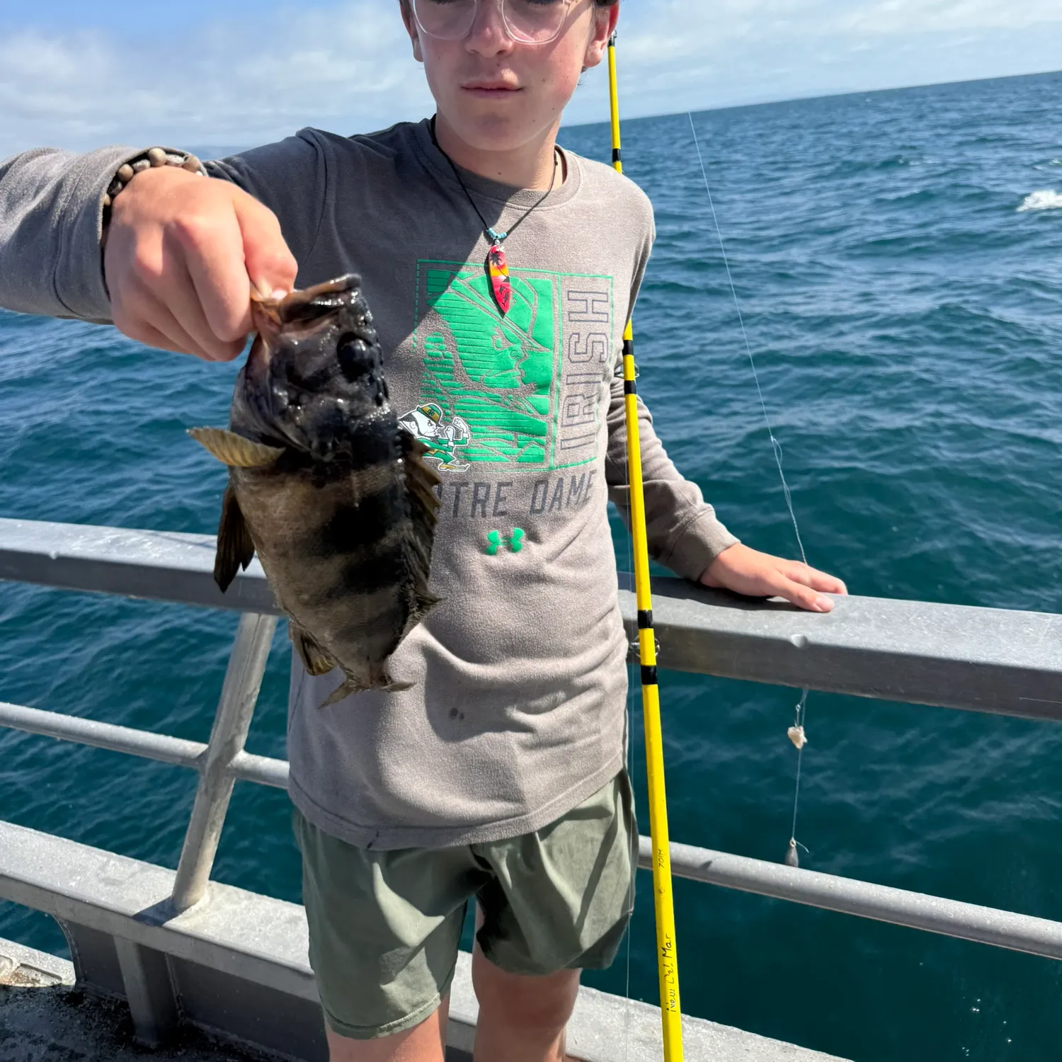 The most recent Treefish catches on Fishbrain