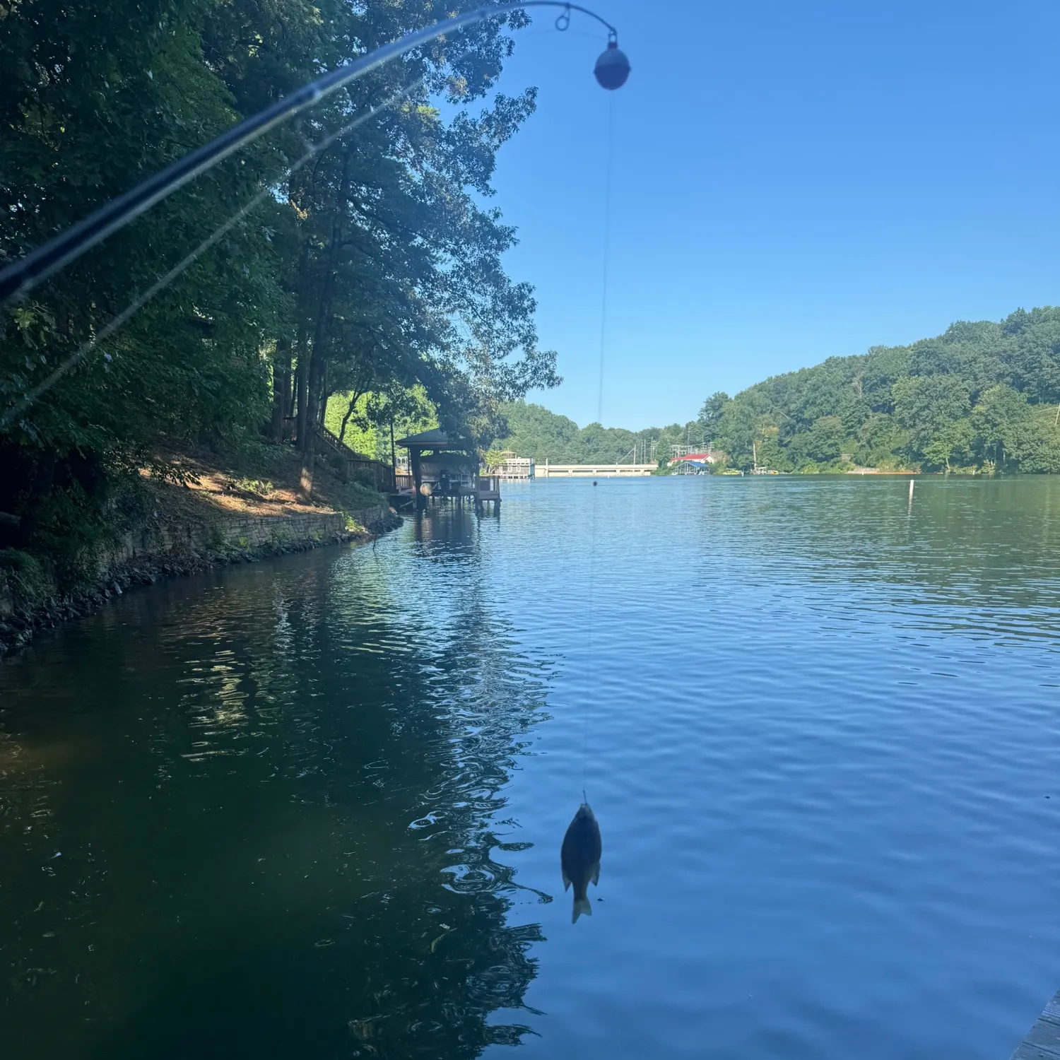 fishing broad river lake lure nc Take Me To The Tee  Lake Lure fishing reports