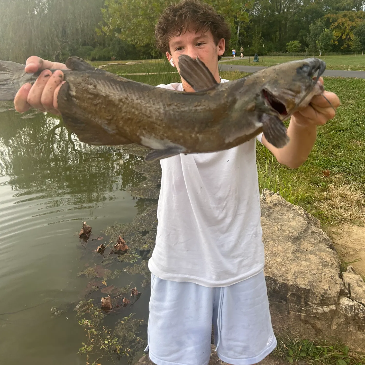 Channel catfish caught on Fishbrain