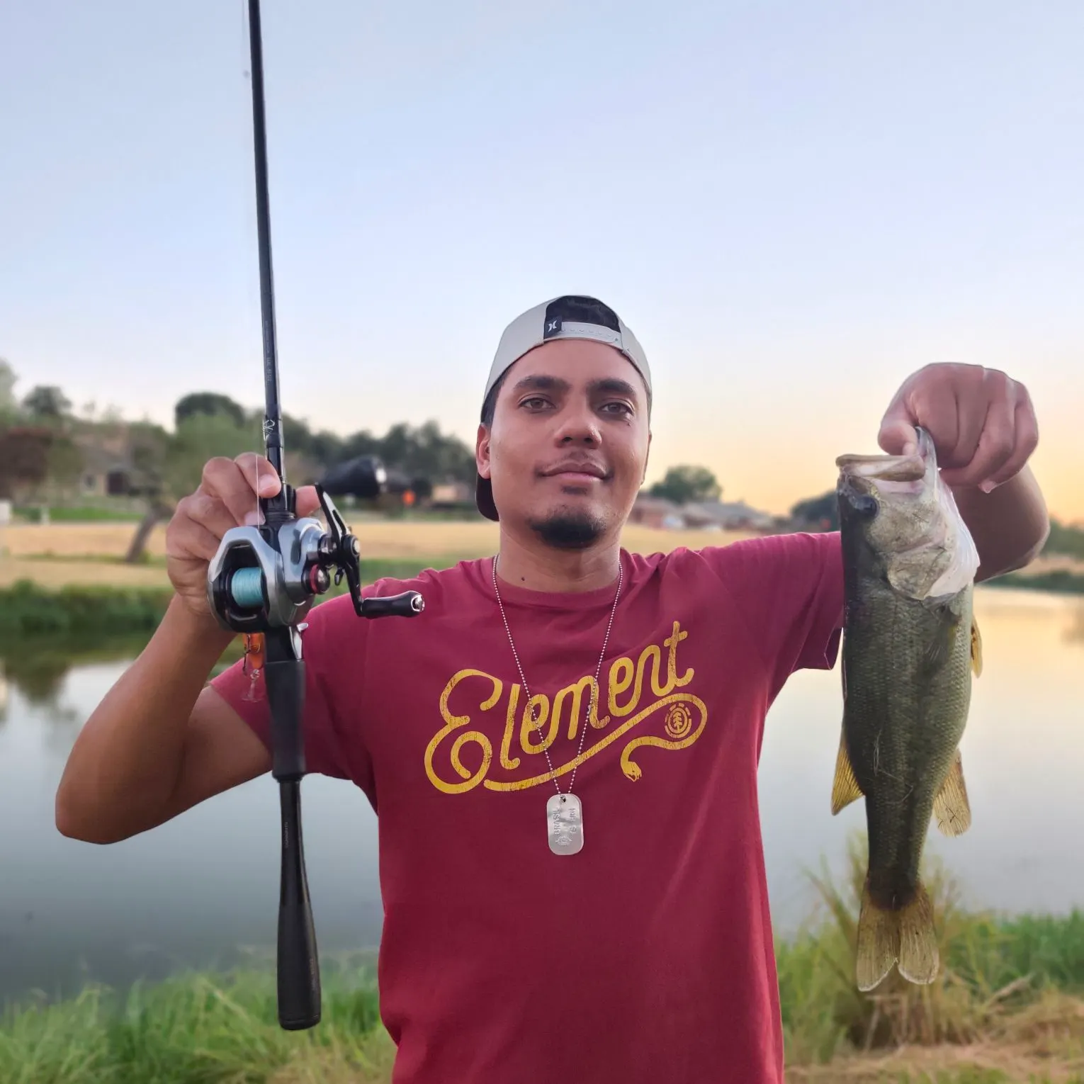 Largemouth bass caught on Fishbrain