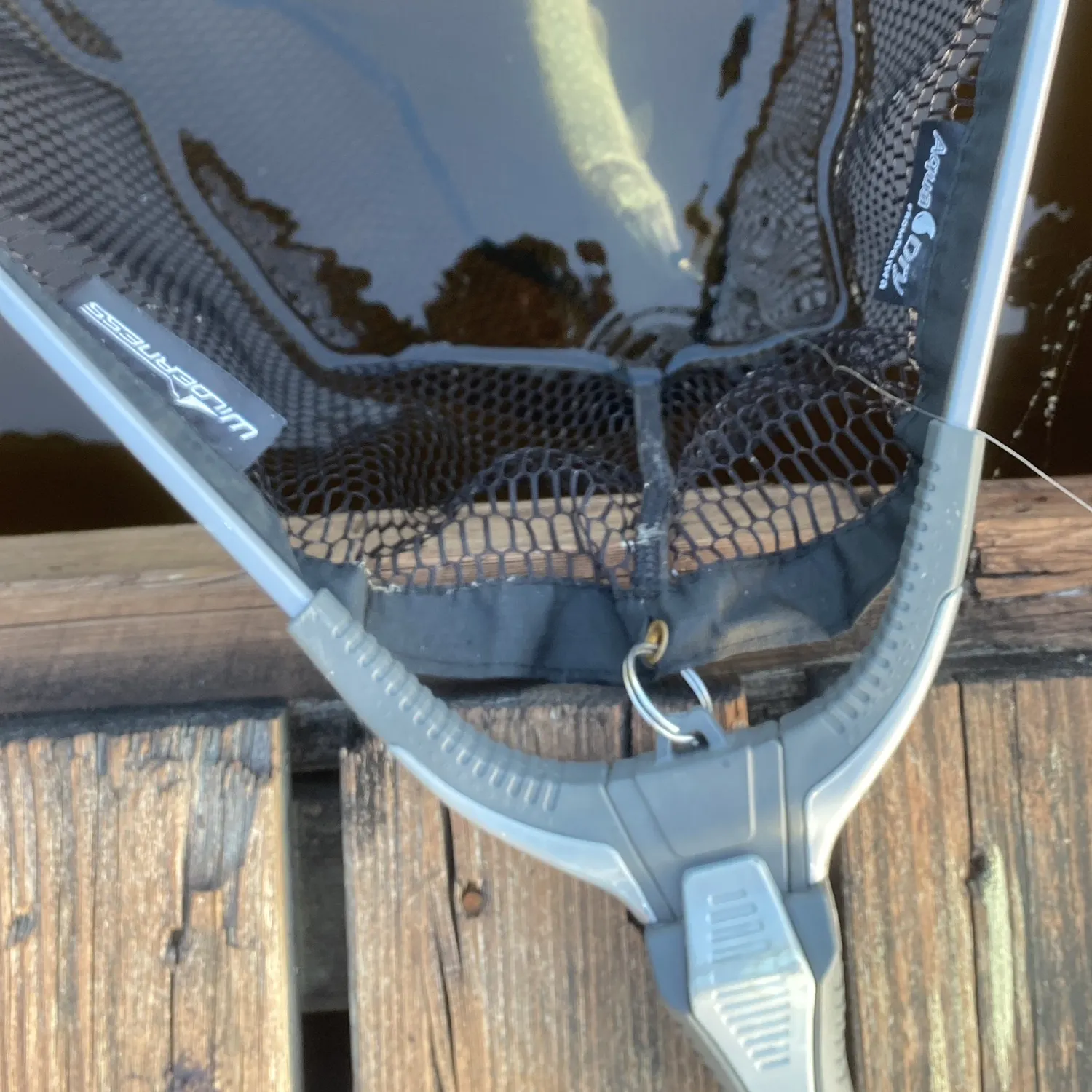 Northern pike caught on Fishbrain