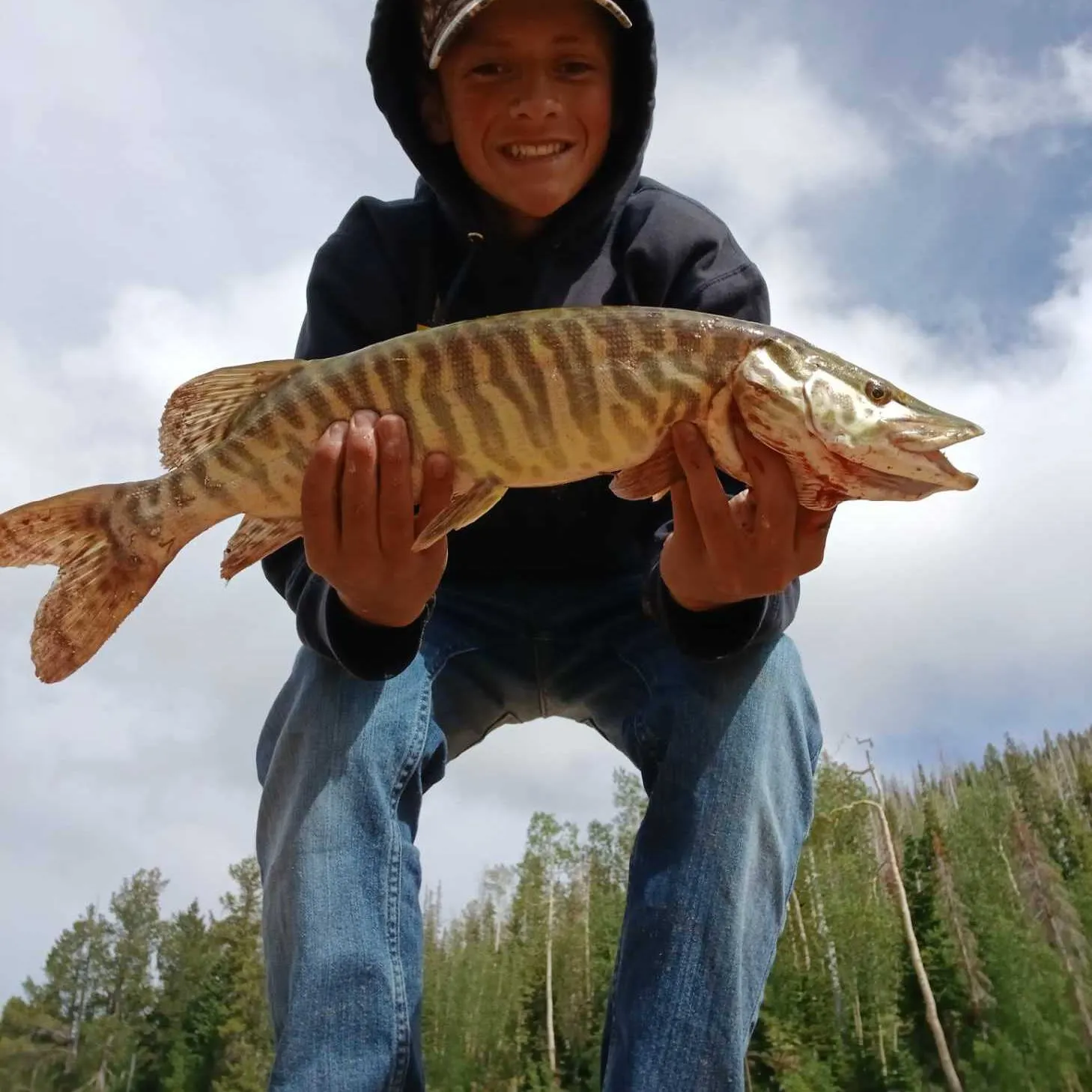 Tiger muskie caught on Fishbrain