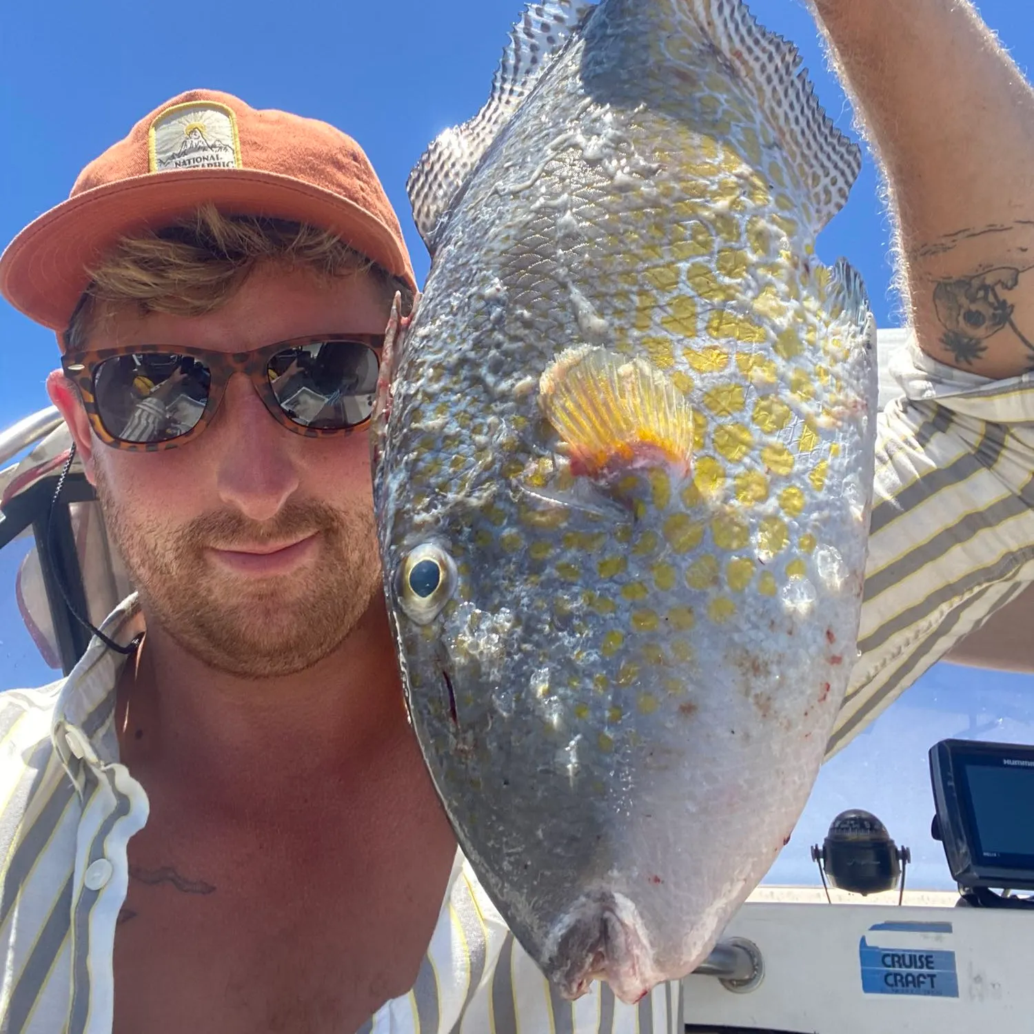 The most recent Starry triggerfish catches on Fishbrain