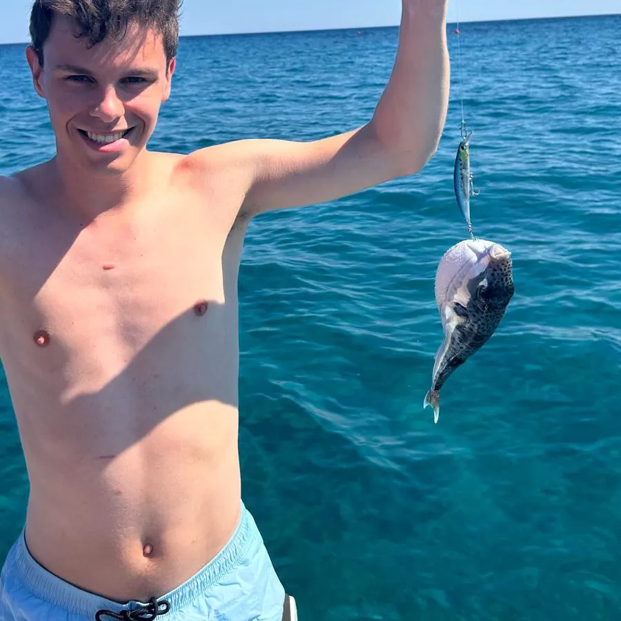 The most recent Suez puffer catches on Fishbrain