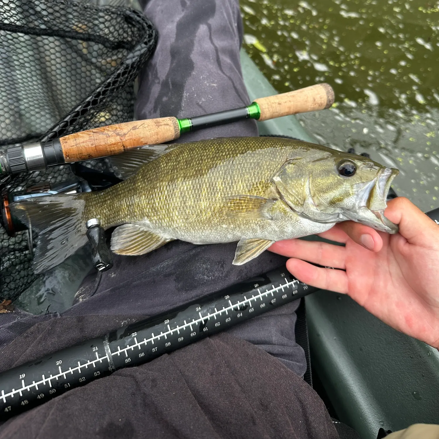 Smallmouth bass caught on Fishbrain