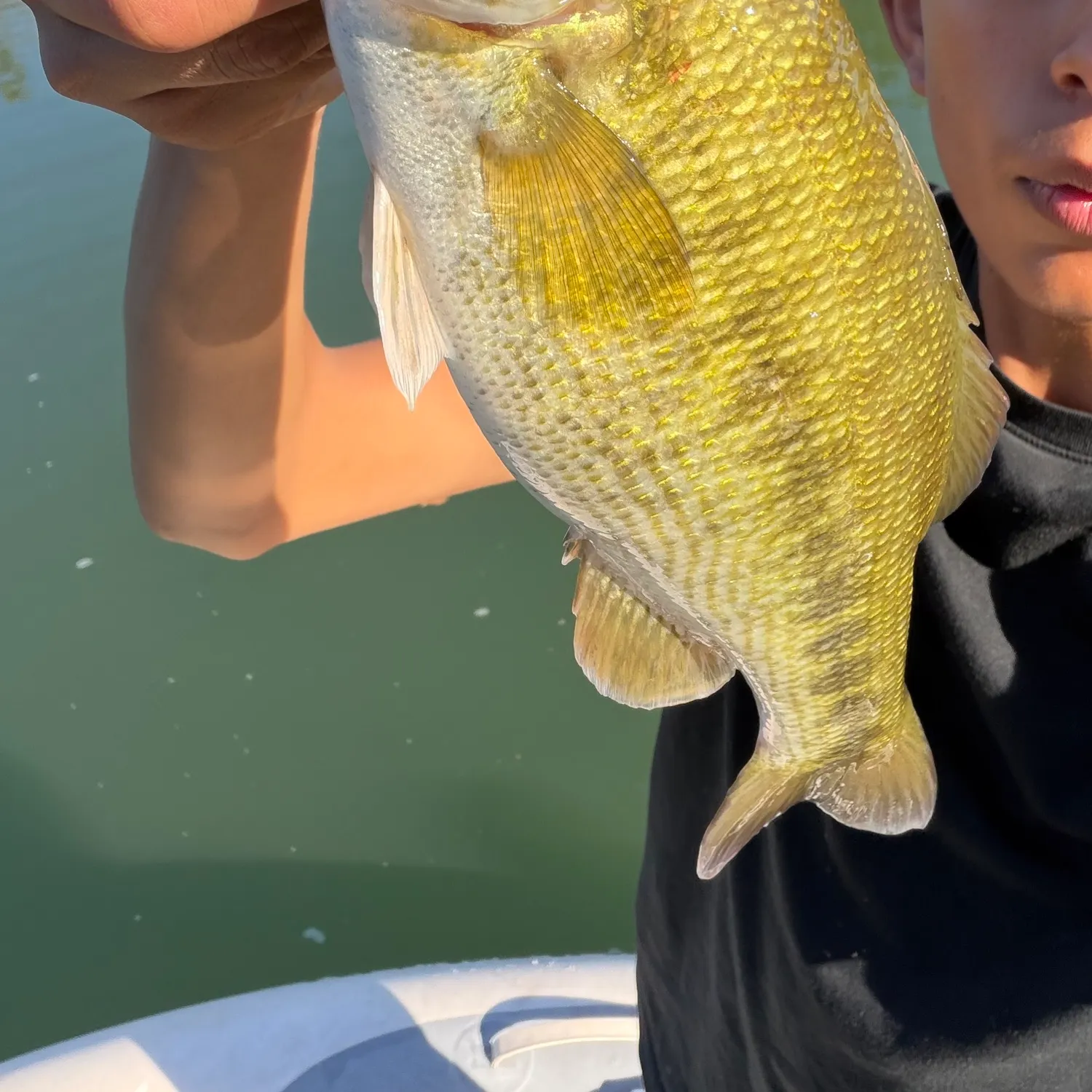 Fish caught on Fishbrain