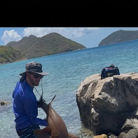 Nurse shark caught on Fishbrain