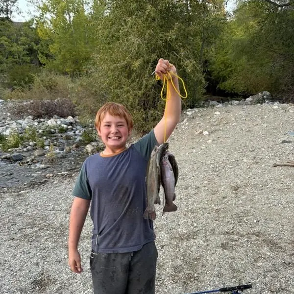 Rainbow trout caught on Fishbrain