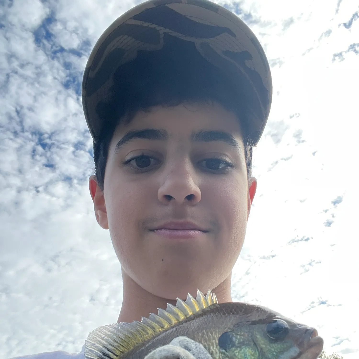 Bluegill caught on Fishbrain