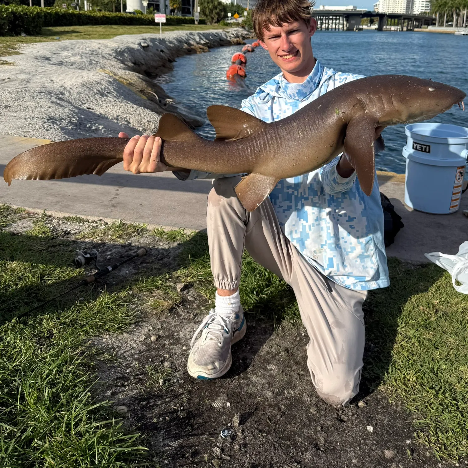 The most recent Nurse shark catches on Fishbrain