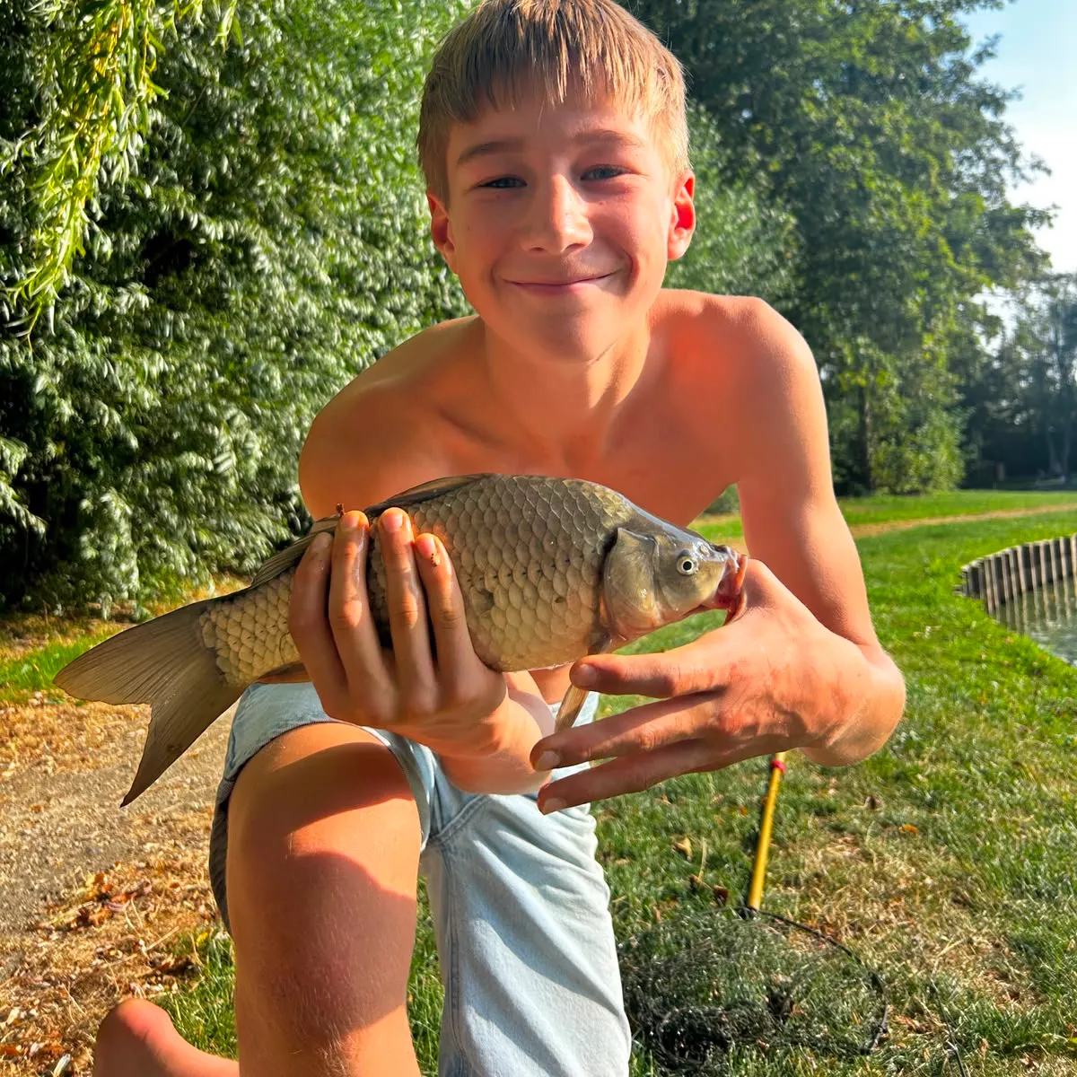 Crucian carp caught on Fishbrain