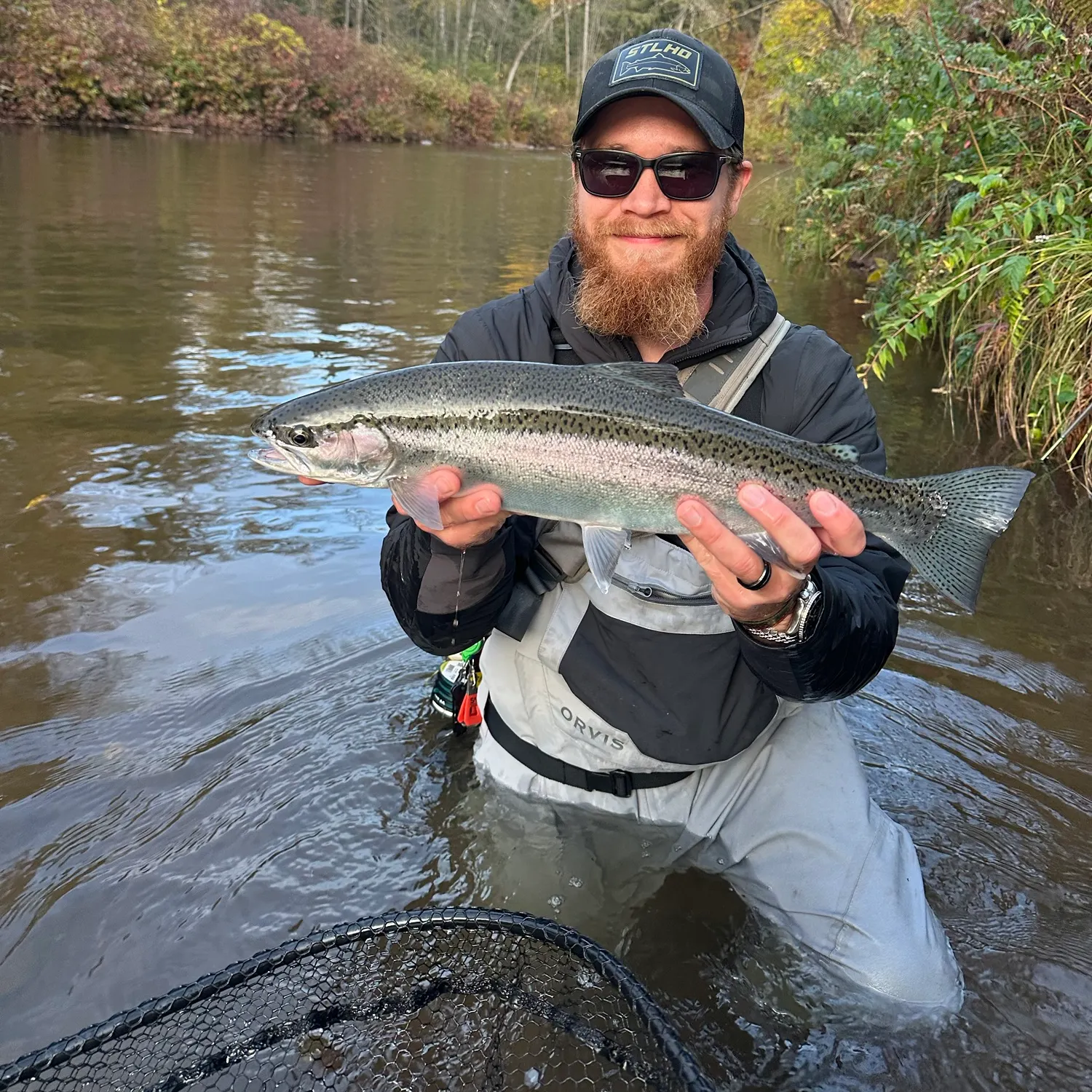 Steelhead caught on Fishbrain