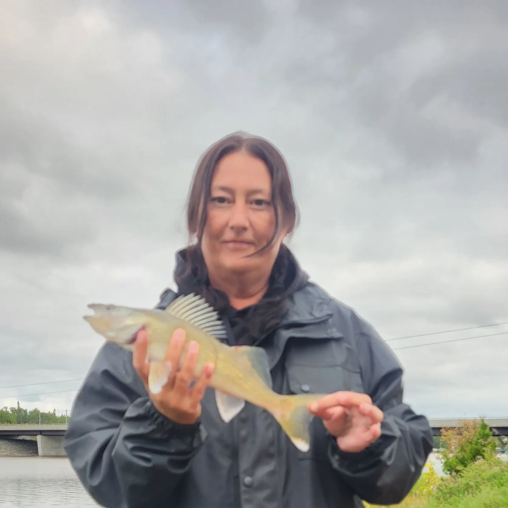 Walleye caught on Fishbrain