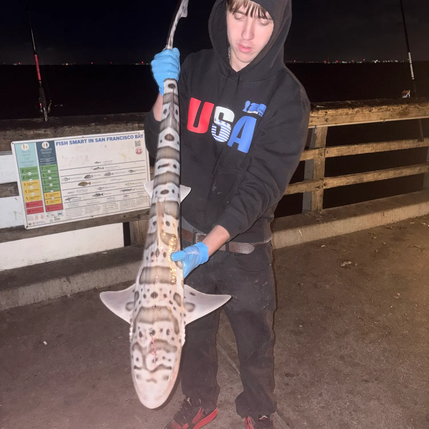 Leopard shark caught on Fishbrain