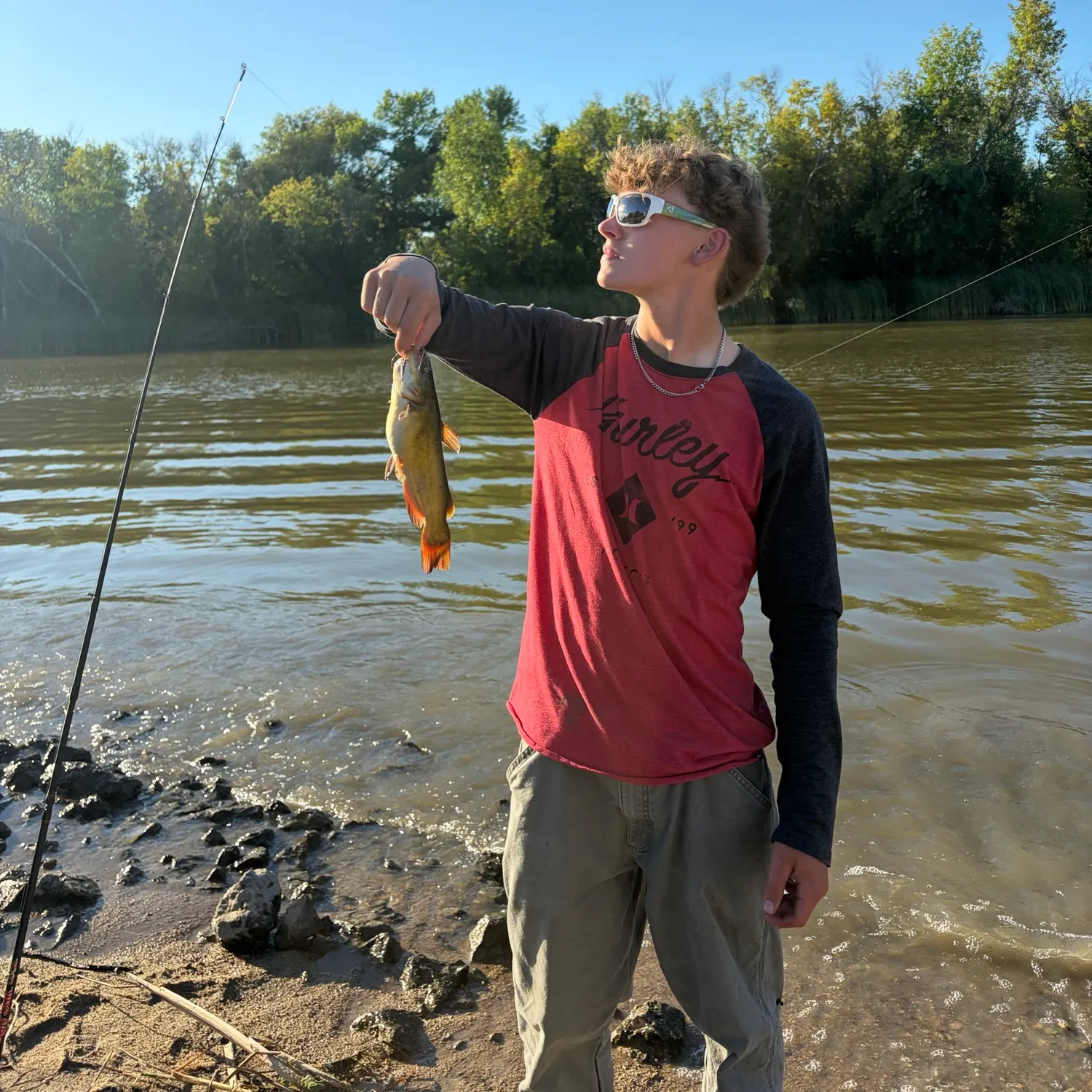 Brown bullhead caught on Fishbrain