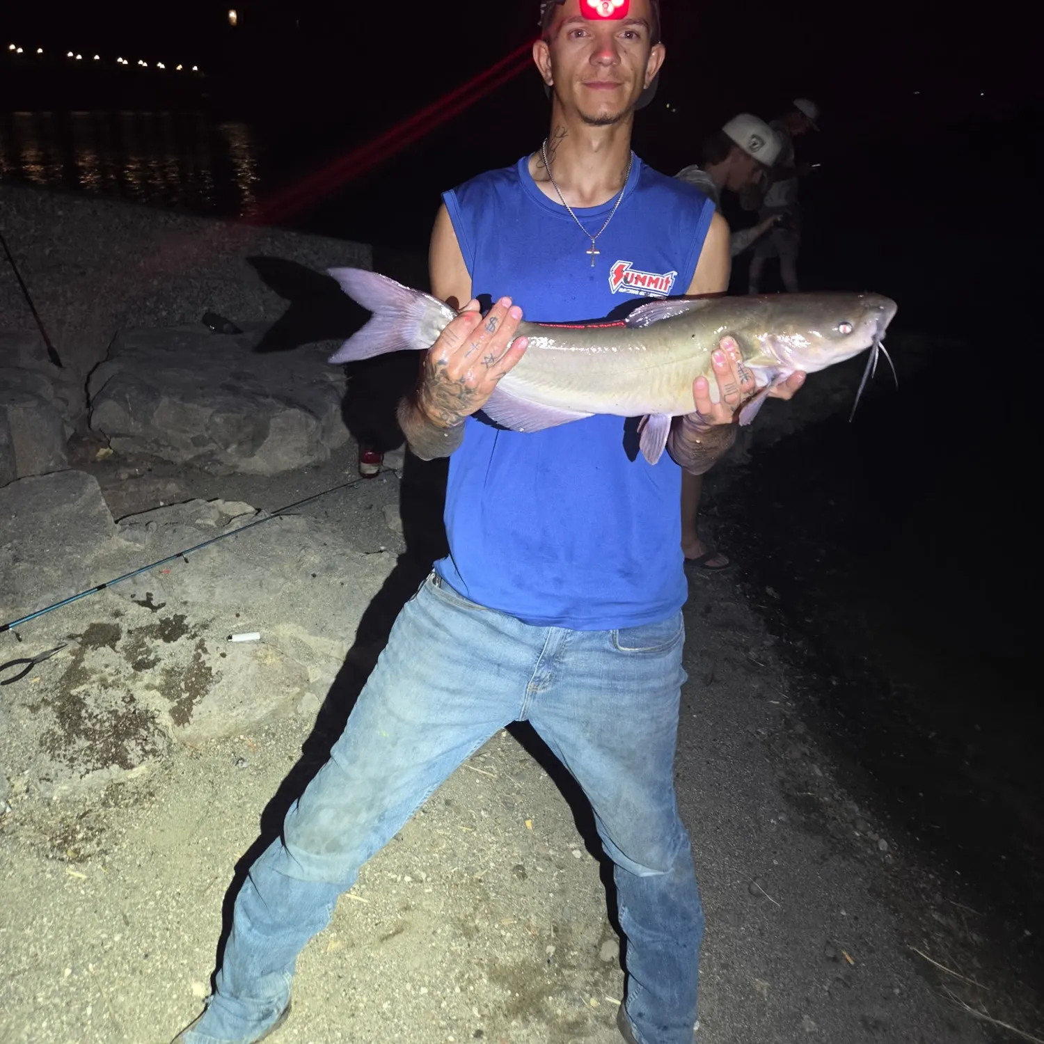 Channel catfish caught on Fishbrain