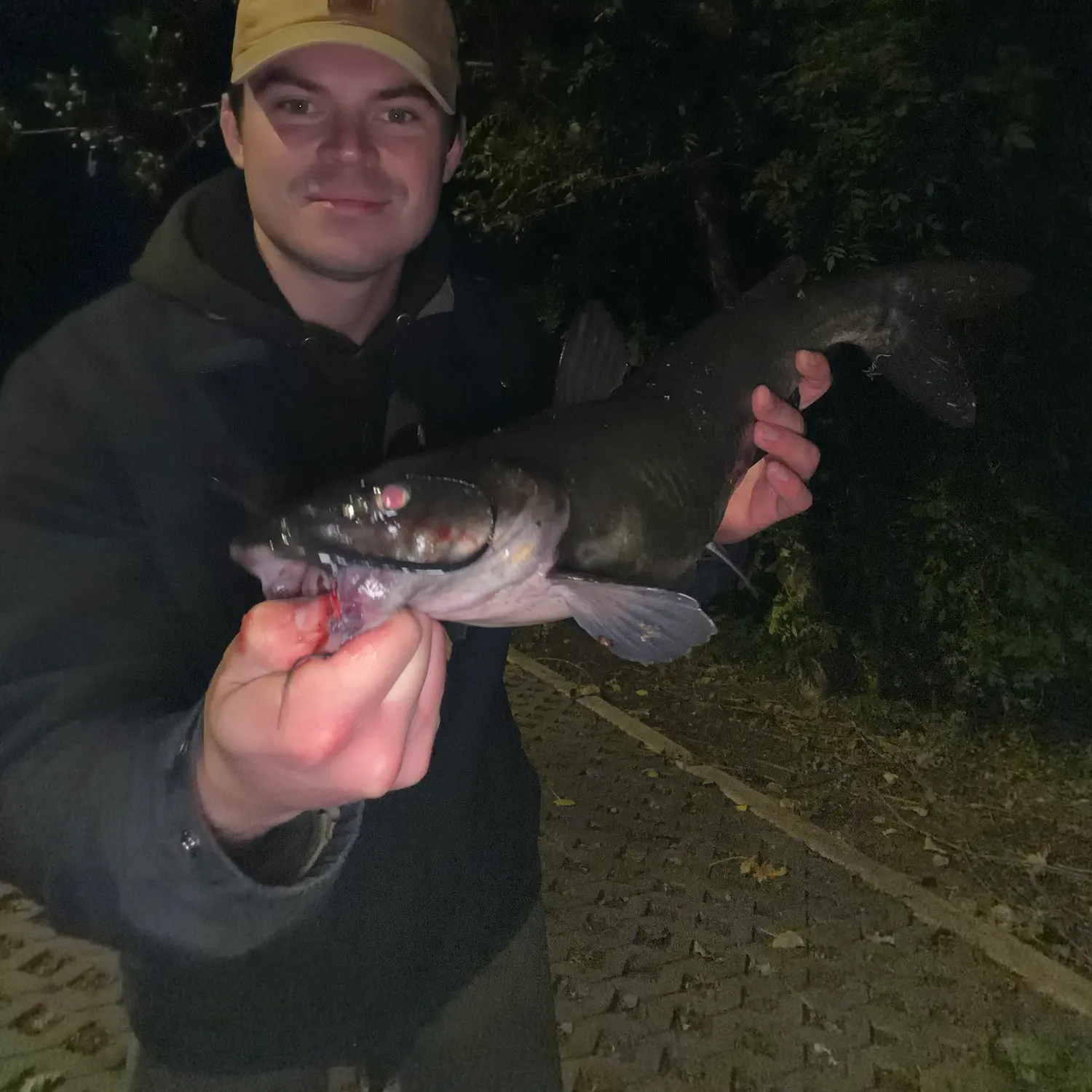 Channel catfish caught on Fishbrain