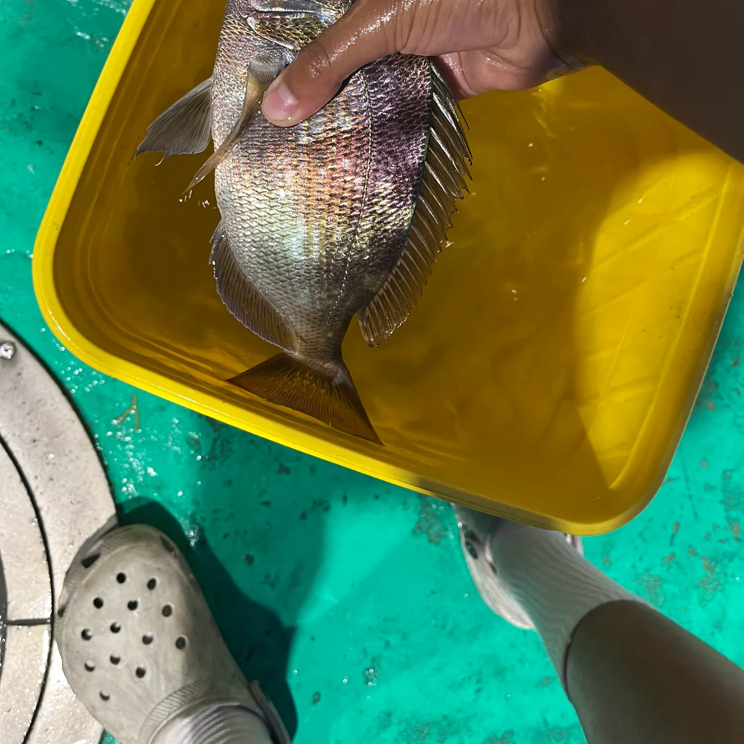 catch