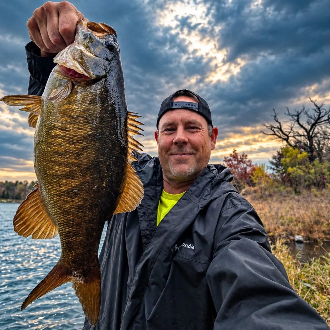 Smallmouth bass caught on Fishbrain