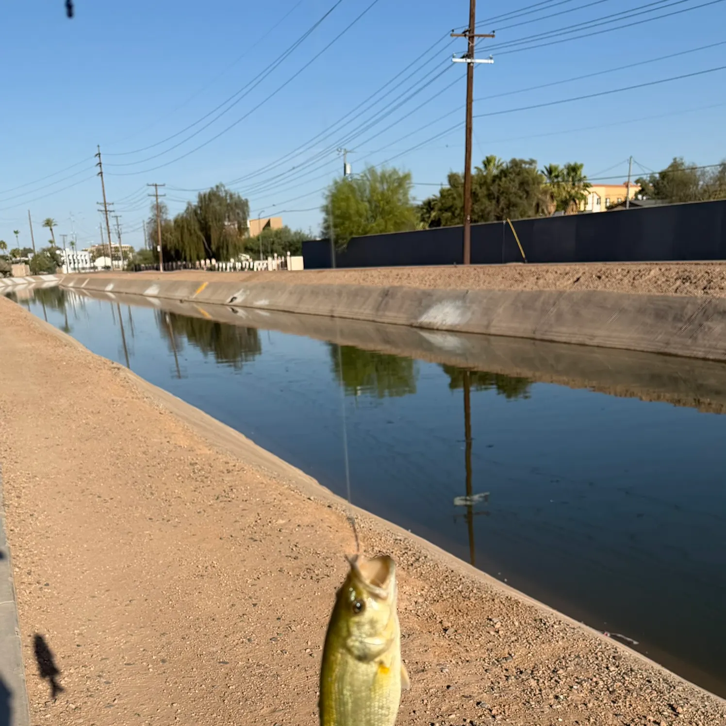 The most recent Warrior bass catches on Fishbrain