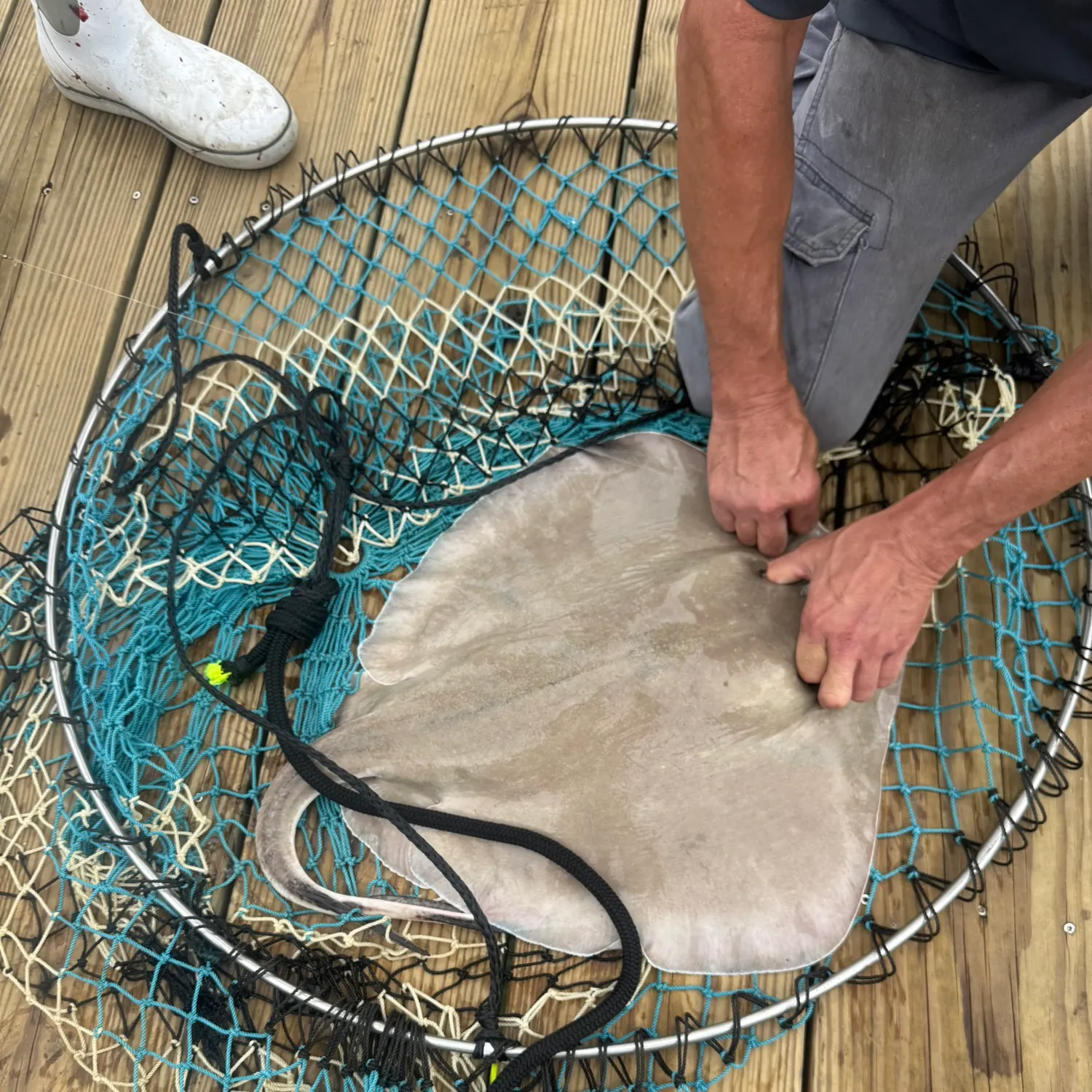 catch