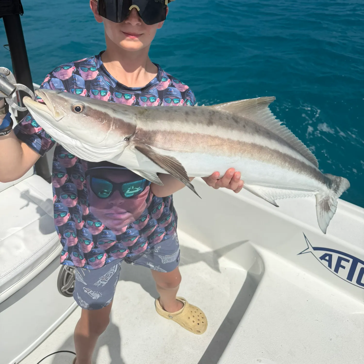 The most recent Cobia catches on Fishbrain