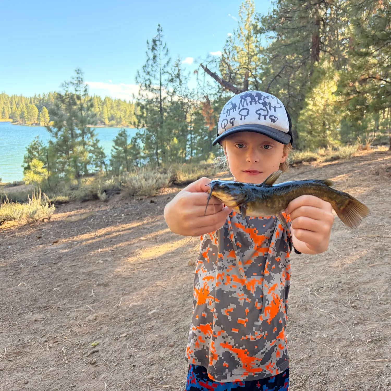 Black bullhead caught on Fishbrain