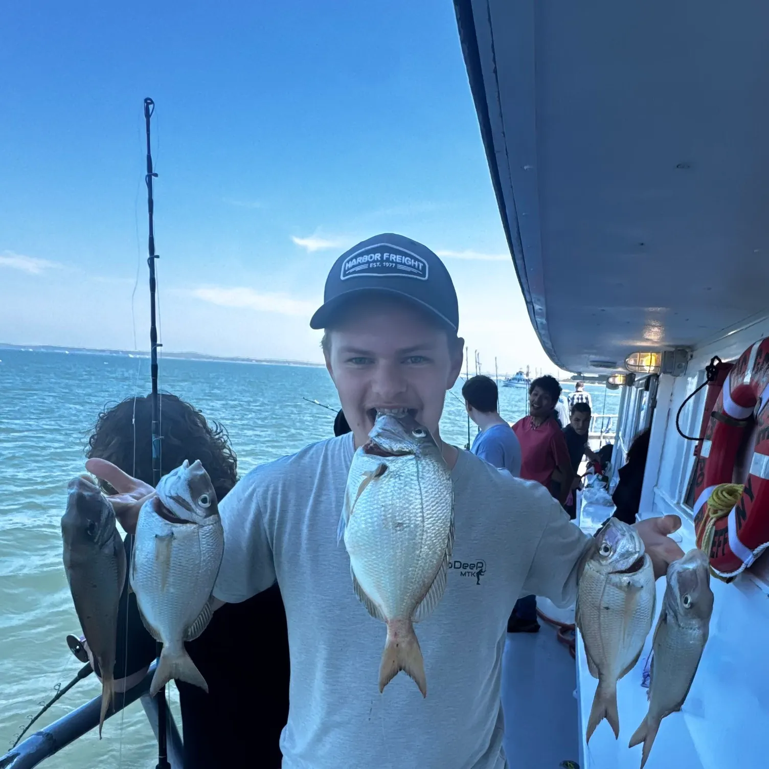 The most recent Scup catches on Fishbrain