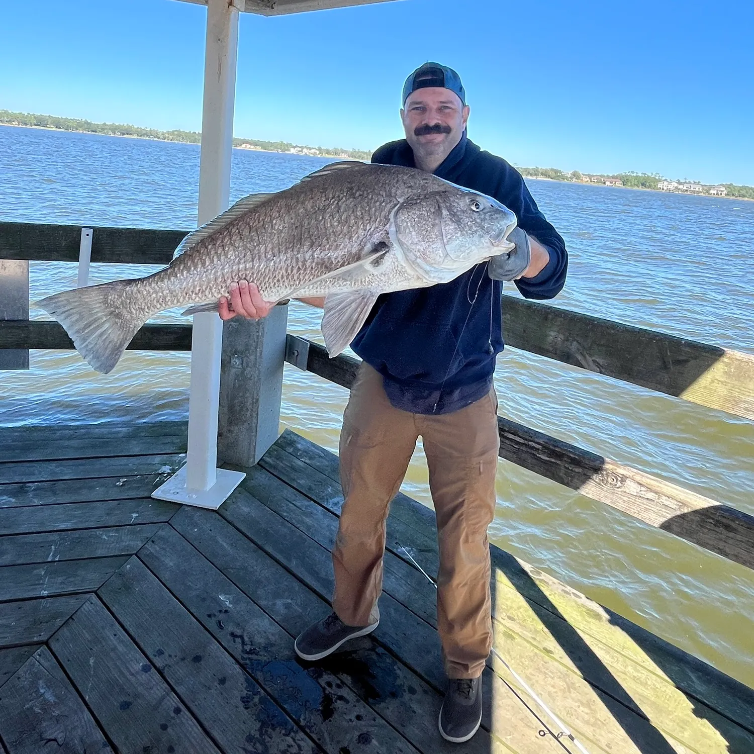 Black drum caught on Fishbrain
