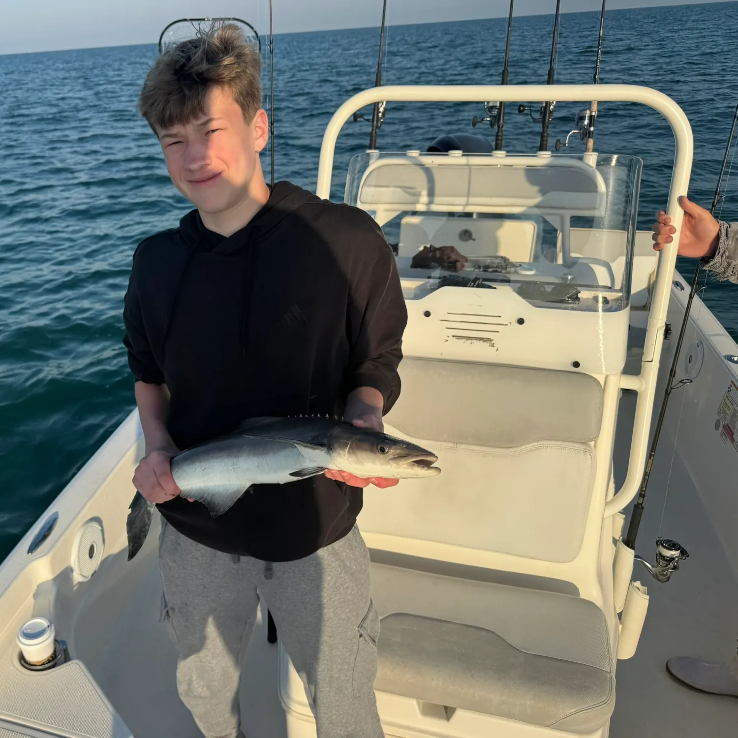 The most recent Cobia catches on Fishbrain