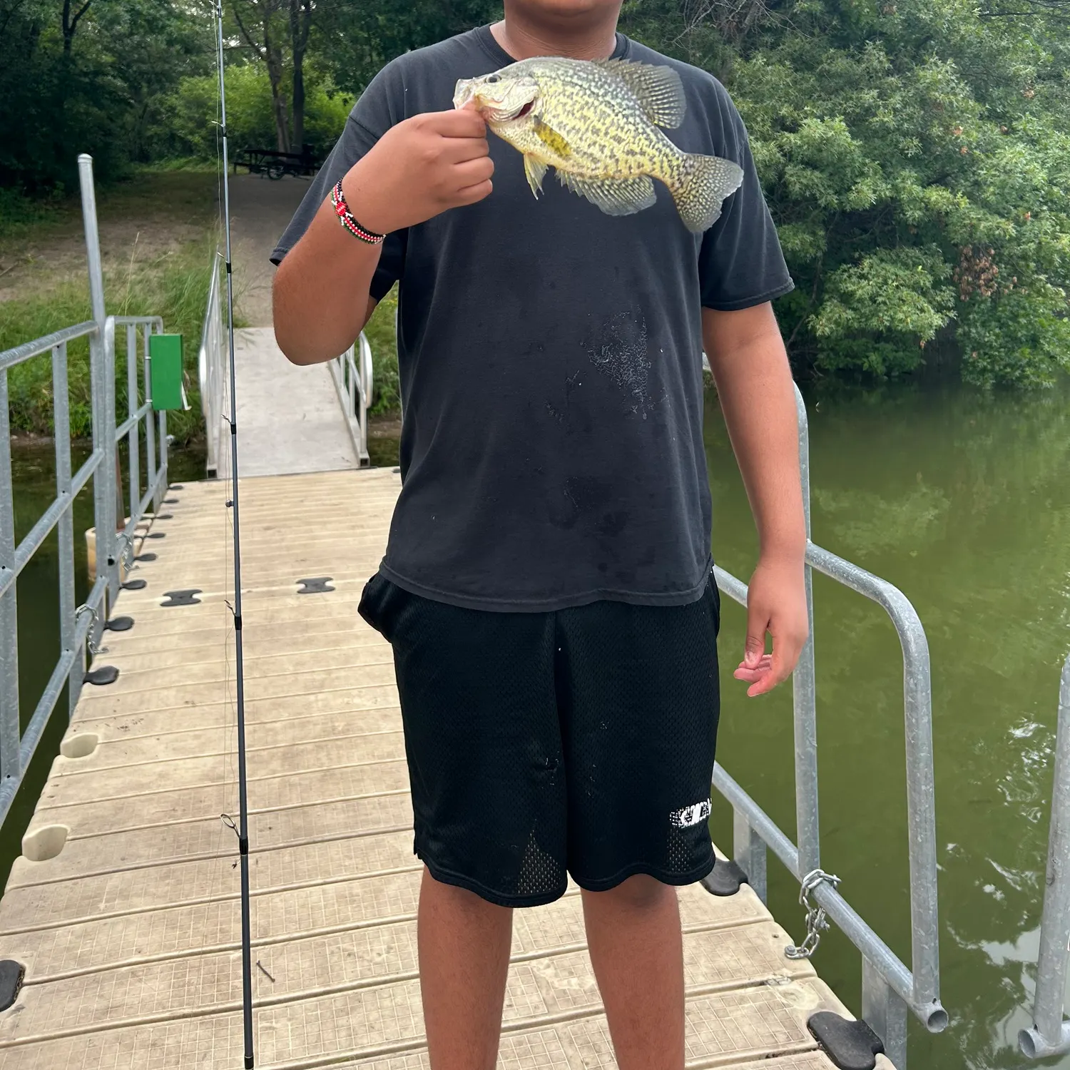 Black crappie caught on Fishbrain