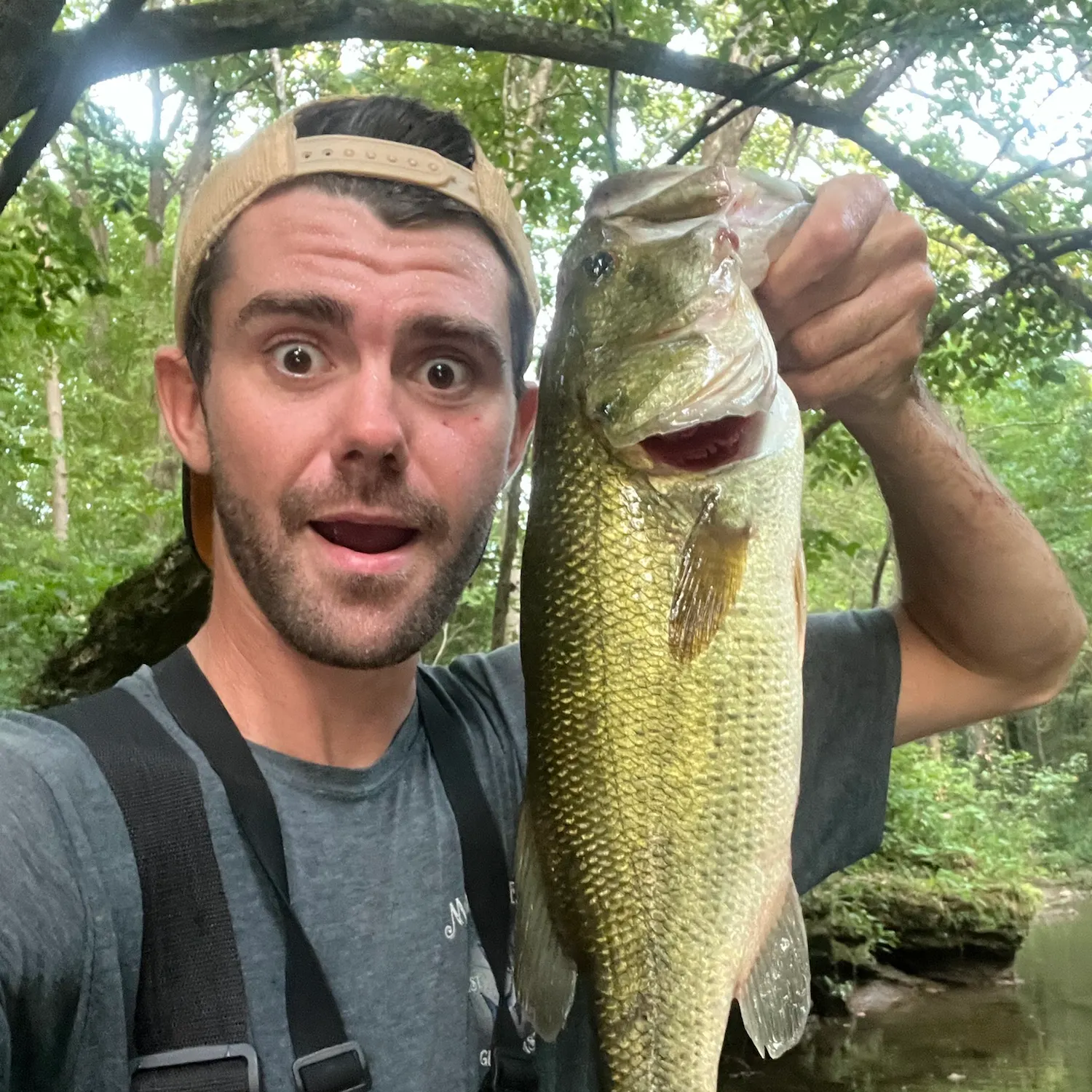 Largemouth bass caught on Fishbrain