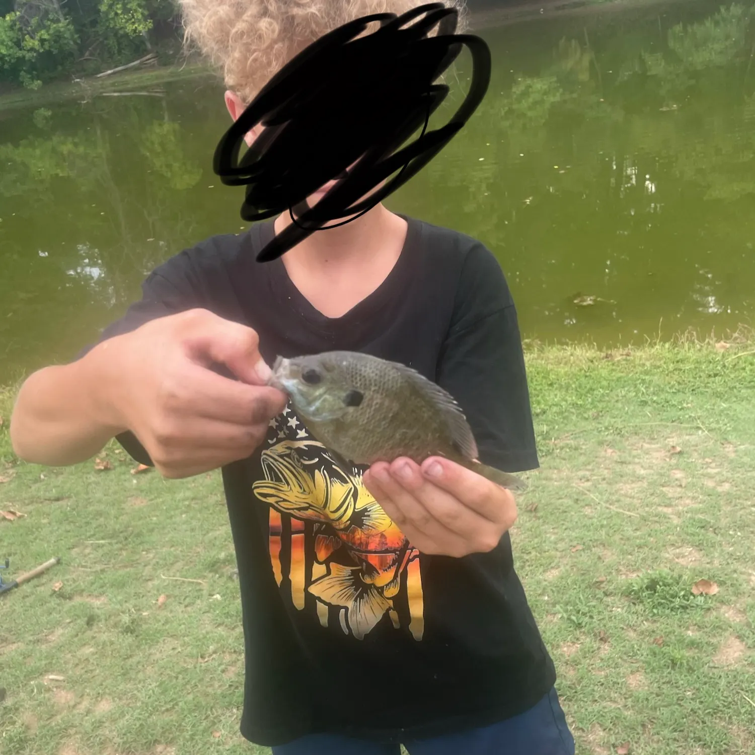 Bluegill caught on Fishbrain
