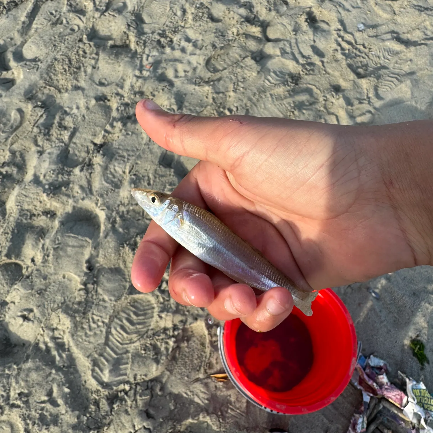catch
