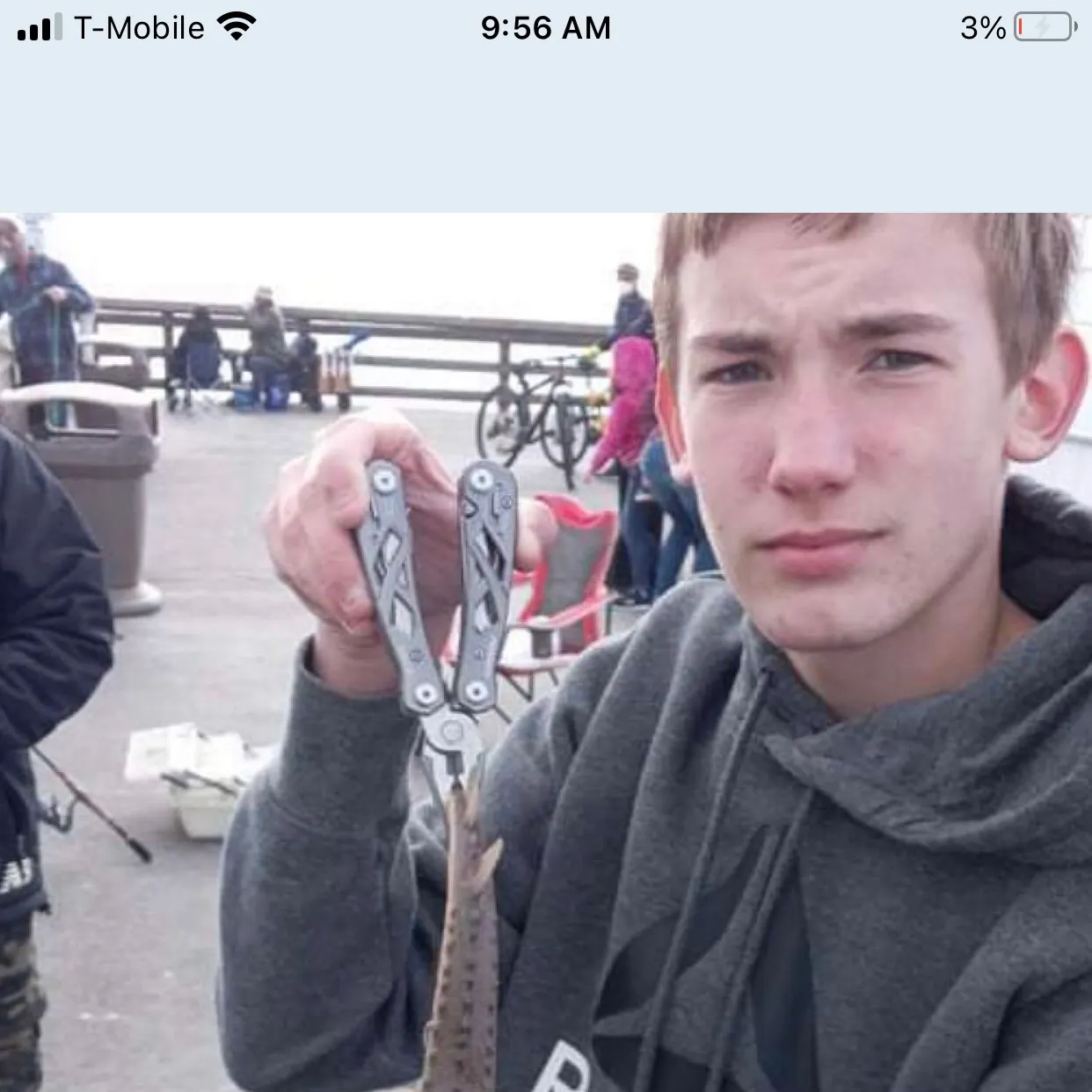 The most recent Thornback ray catches on Fishbrain